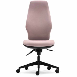 Orthopaedica 300 Chair without Arms in Grey