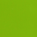 Avocado ITA06