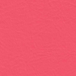 Bubblegum