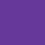 Purple +(£10.00)