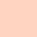 Rose Blossom